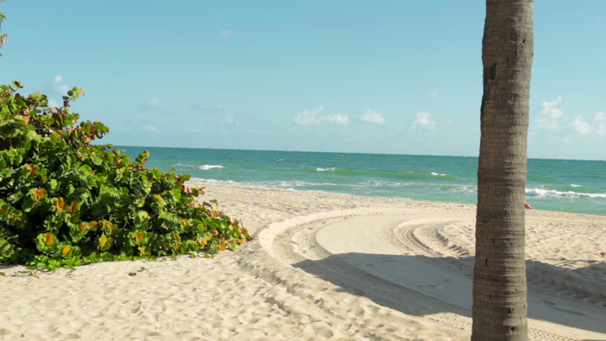 Sebastian Beach Fort Lauderdale 