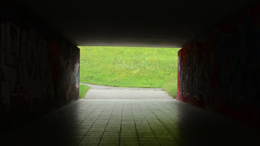 pedestrian underpass - dark - meadow with flowers in the background