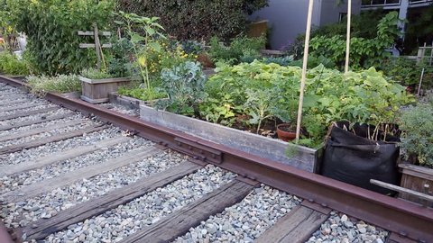 Railroad Track Community Garden. Community gardens grow along an unused railroad track in downtown Vancouver, British Columbia, Canada.