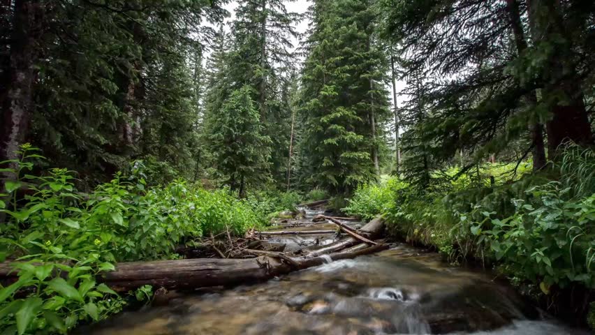 Hidden Valley stream in Colorado Rocky Mountain National Park time lapse.