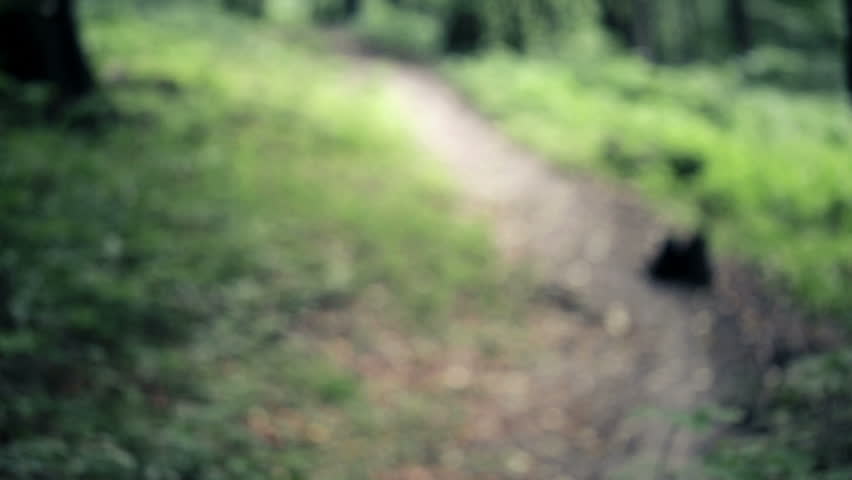 Serious beautiful mysterious woman, red riding hood in the forest
