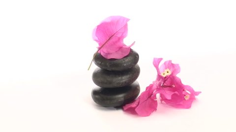 Massage rocks topped with Bougainvillea seamless loop