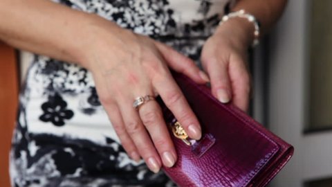 purse, fashion women's purse