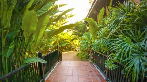 Video 1080p - Path at the hotel decorated with tropical vegetation.