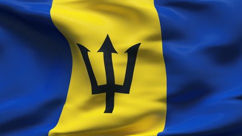 Creased barbados satin flag with visible wrinkle and seams
