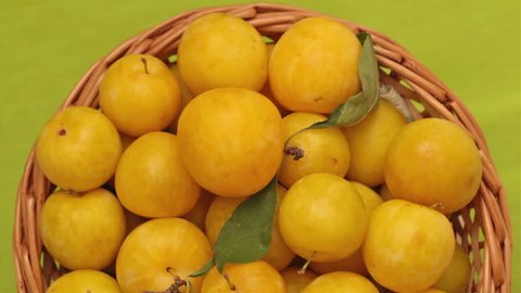 yellow plums, green background