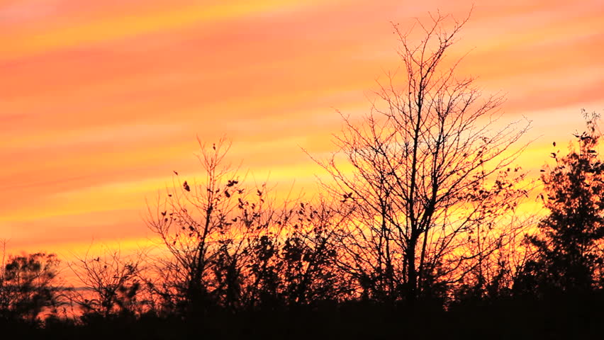 Sunset. Orange Sky.
