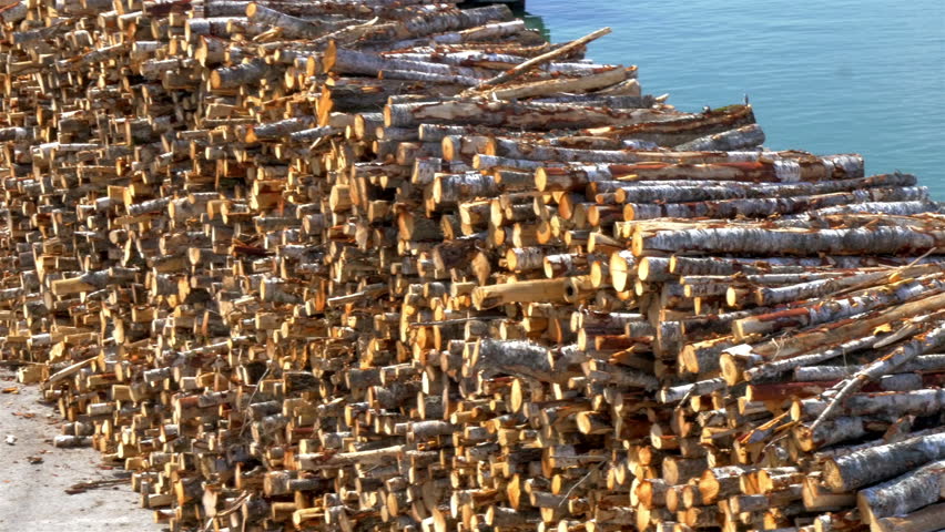 Heap of pulpwood for fire on display on the harbour of Estonia. Ready for distribution in the forest industry GH4 4K
