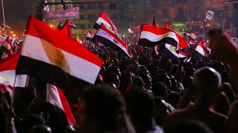 Protestors wave the Egyptian flag in Cairo, Egypt at a large rally.