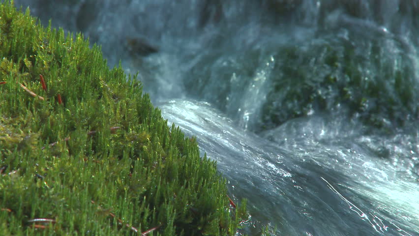 Mountain stream flowing past bright green moss bank