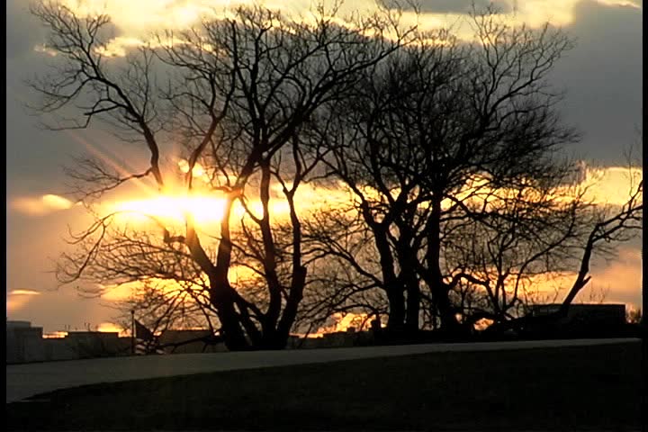 sunset in park
