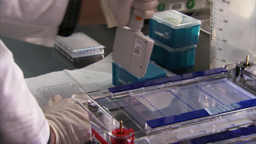 CIRCA 2010s - At the U.S. Government