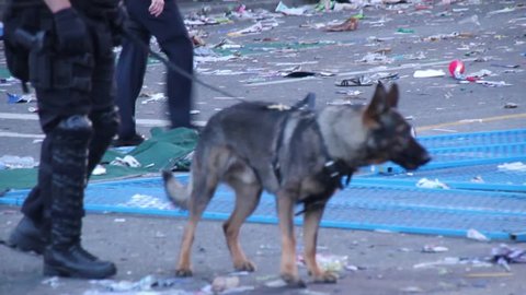 Vancouver, Canada - April 2013 - K9 unit with dog during riot with trash and fire in the background	 - Commercial license no logo no face