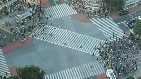 Time-lapse Shibuya cross-walk