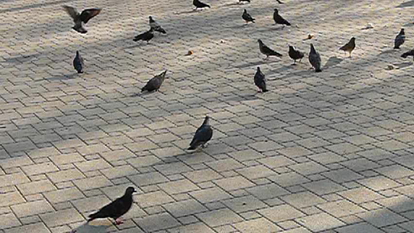 In town park