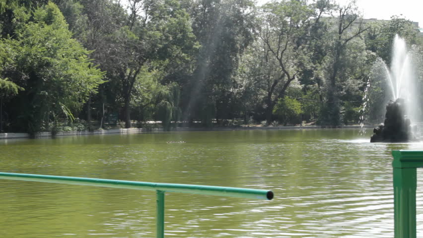 Fountain In The Middle Of A Lake, Nature, Park, Water, Green, Summer Day, Pan