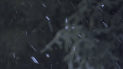 Snow Falling At Night 05 1