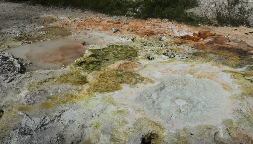 Geothermal pool in Mammoth Hot Springs, Yellowstone National Park, Wyoming, USA