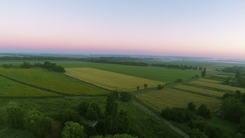 Agricultural yellow field and beautiful sky .Aerial  landscape