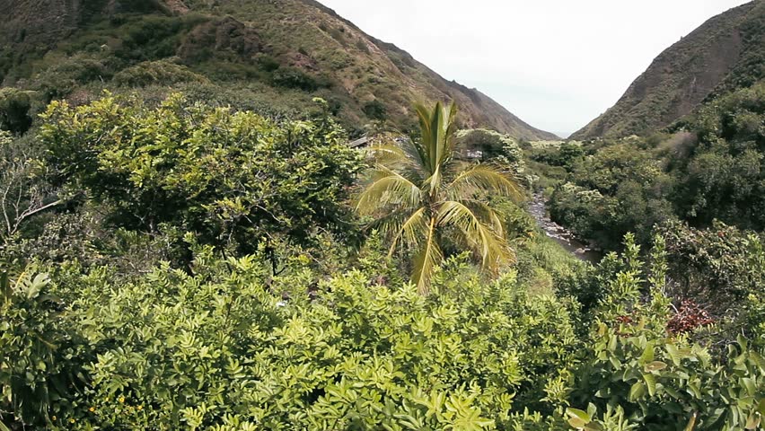 1080p, Iao Valley, Hawaii