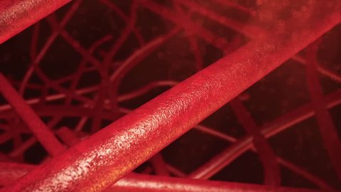 Small blood vessels shown in a small cluster together showing red blood cells in a red atmospheric background