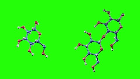 Two types of carbohydrates; monosaccharides, which are singular carbohydrate molecules and disaccharides, which are two carbohydrate molecules linked together spinning in a greenscreen background