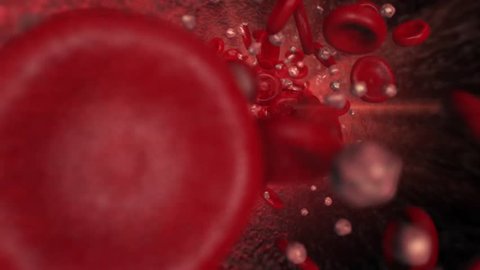 Travelling shot through the bloodstream turning into a panning shot showing red blood cells and ketones in the vessel