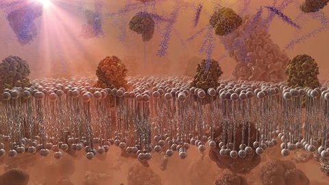 Shot of the cell membrane in depth of field with insulin receptors receding and rejecting acceptance of insulin and thus inhibiting glucose uptake