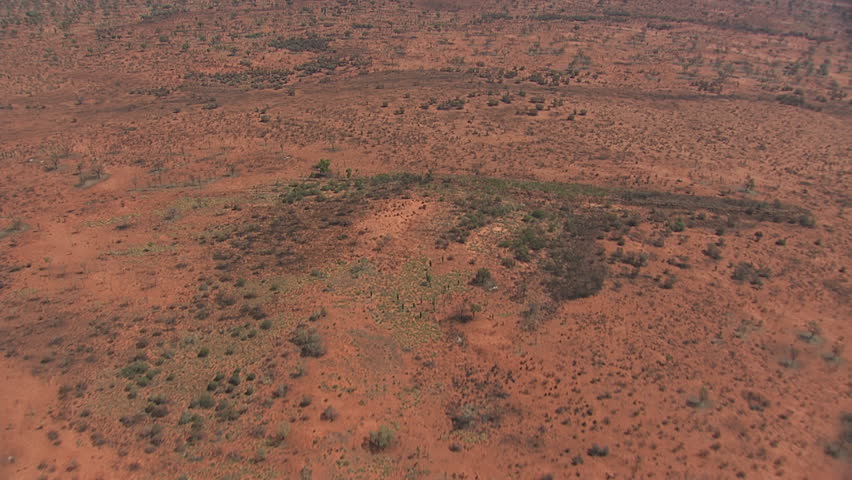Sparse desert vegetation in King