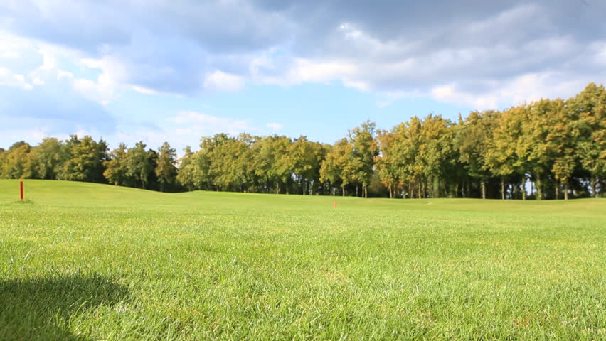 Pretty funny dog .Jack Russell Terrier jumping dancing with impatience on the grass, running and brings a toy blue disc frisbee. Sunny day for walking