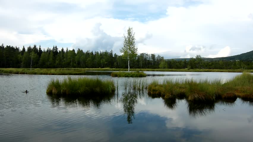 Heavy clouds in sky above dark lake. Early morning autumn lake with dreamy atmosphere, young tree on island in middle. 