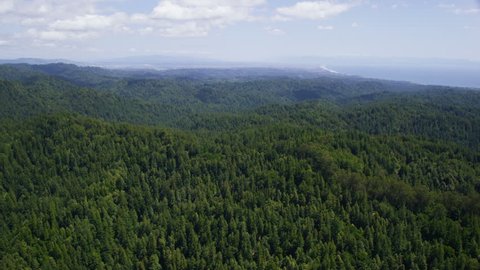 Aerial view of California State Park green forest