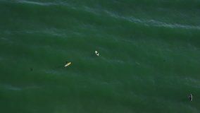 Aerial view of surfers and paddle boarders, California Coastline along the Big Sur.