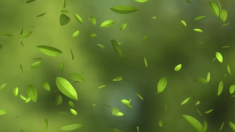 falling green leaves - looped and alpha masked Stock Video