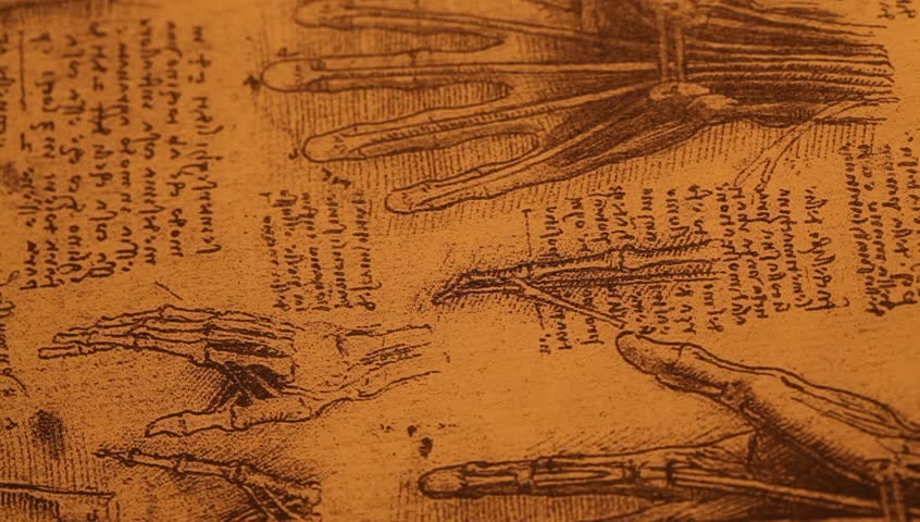 Close up of Ancient Anatomy Stock Footage Video (100% Royalty-free