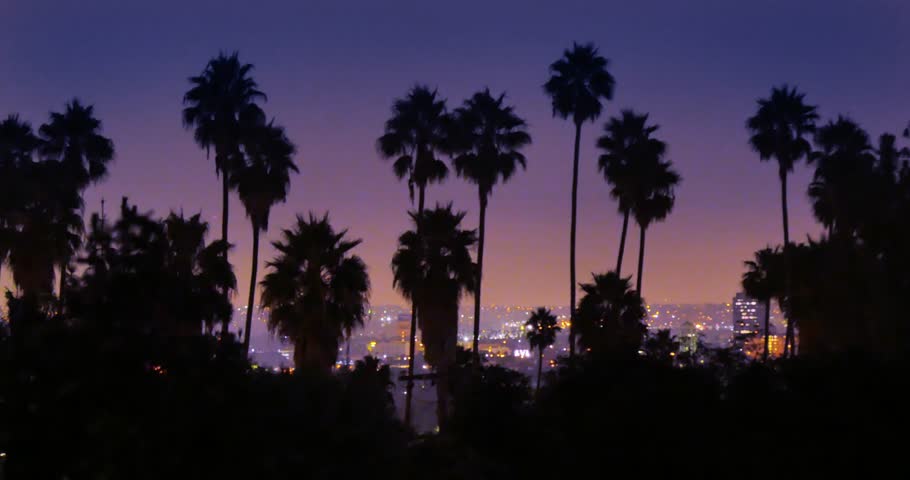 4K. Palm trees silhouettes over night city of Los Angeles, California. Timelapse.