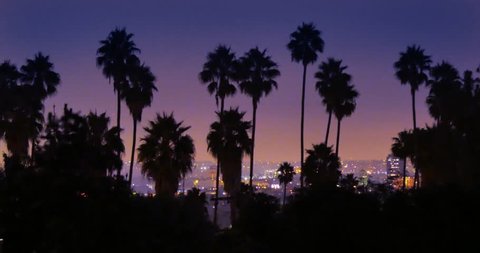4K. Palm trees silhouettes over night city of Los Angeles, California. Timelapse., videoclip de stoc