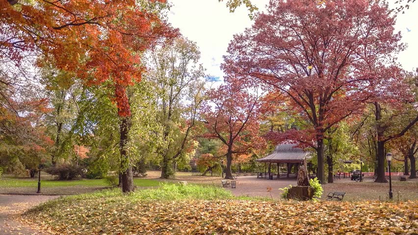 Prospect Park Autumn time lapse