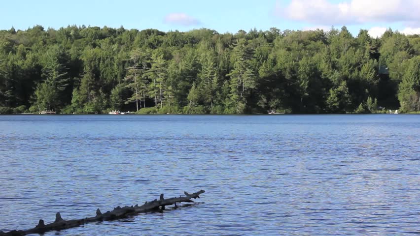 Late afternoon on a beautiful pond in the Adirondacks.