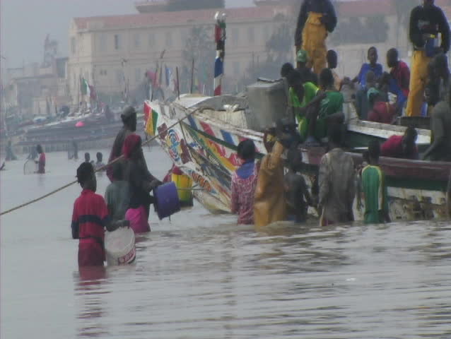 Africans bringing in fish from a canoe