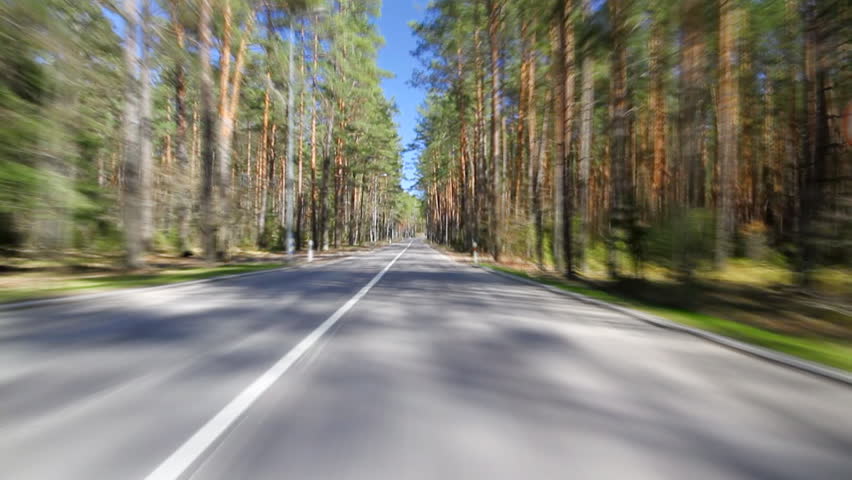 trip to the forest road, spring