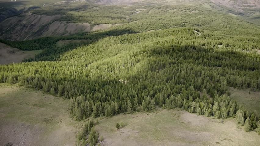 Stock video footage Smooth flight over wooded guschelem
Smooth flight over the mountain slopes are partly covered with coniferous forest
 Royalty-Free Stock Footage #7292515