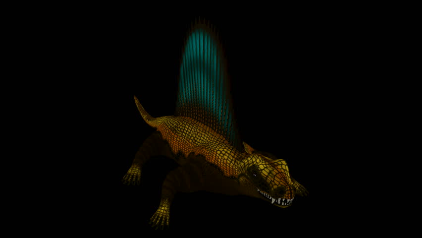 dimetrodon head