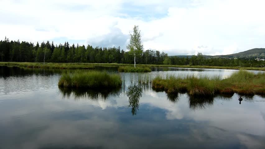 Early morning autumn lake with dreamy atmosphere, young tree on island in middle. 