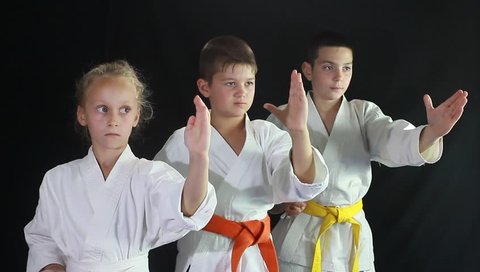 Girl and two boys engaged in karate in the gym
