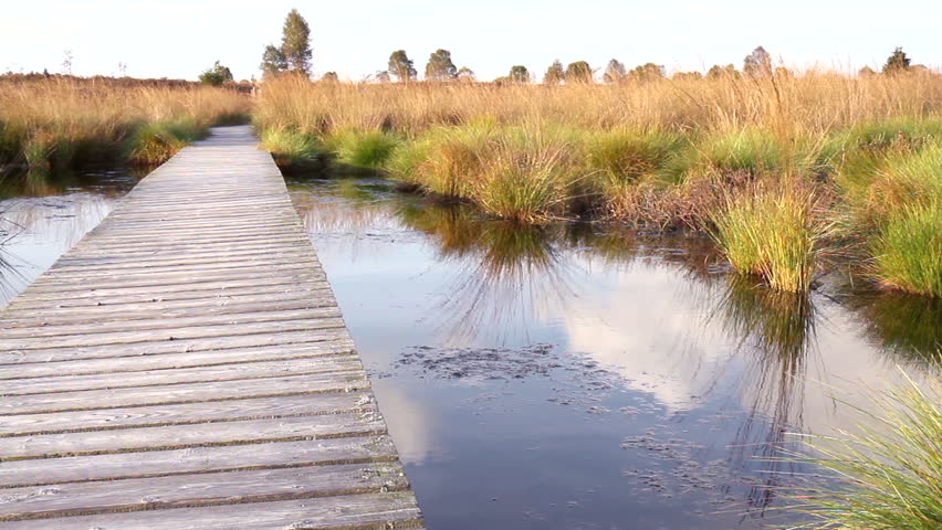 Small pond in a nature reserve (High Fens – Eifel Nature Park, Belgium).
