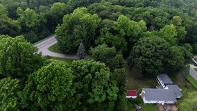 Aerial view of green forest trees at Michigan vacation resort - Forest top view leaves and branches