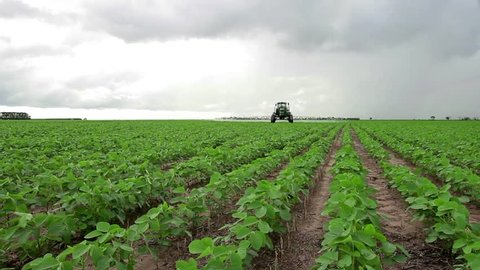 BRAZIL, Soybean field, spraying application, farm, farming, food, nutriment
