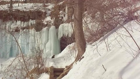 Short clip of a frozen blue Minnehaha Falls
special footage
no audio