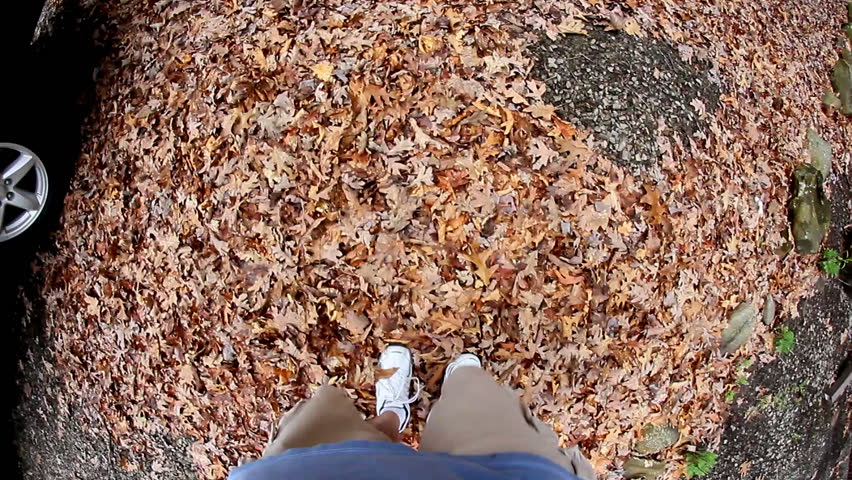 Walking through leaves.  Fisheye lens.